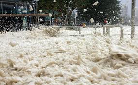 australian foam.jpg